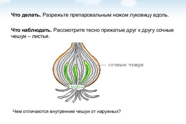 Дайте ссылку блэкспрут 1blacksprut me