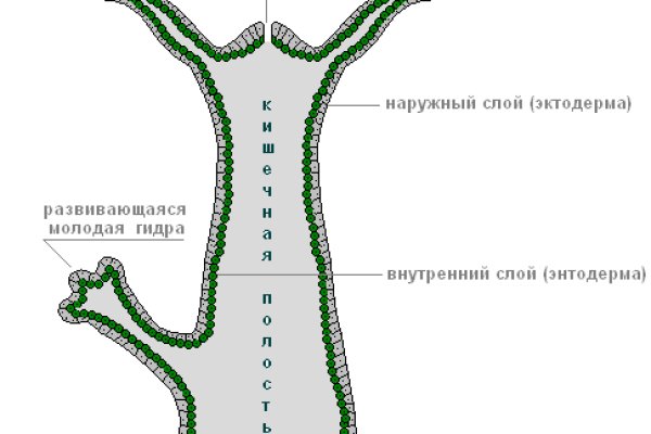 Блэкспрут ссылка тор bs2webes net